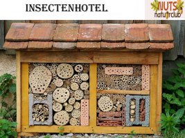 insectenhotel